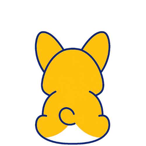 Corgi assis de dos